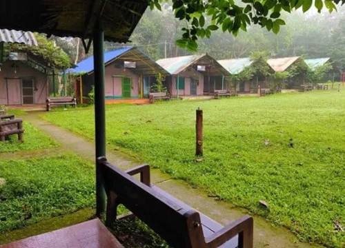 Experience Tranquility at Kulgi Nature Camp: Your Perfect Dandeli Homestay Escape
