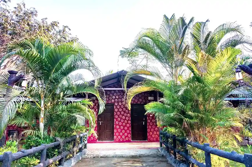 Feel the Moments Forever